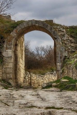 Обложка книги "Следы невиданных зверей"