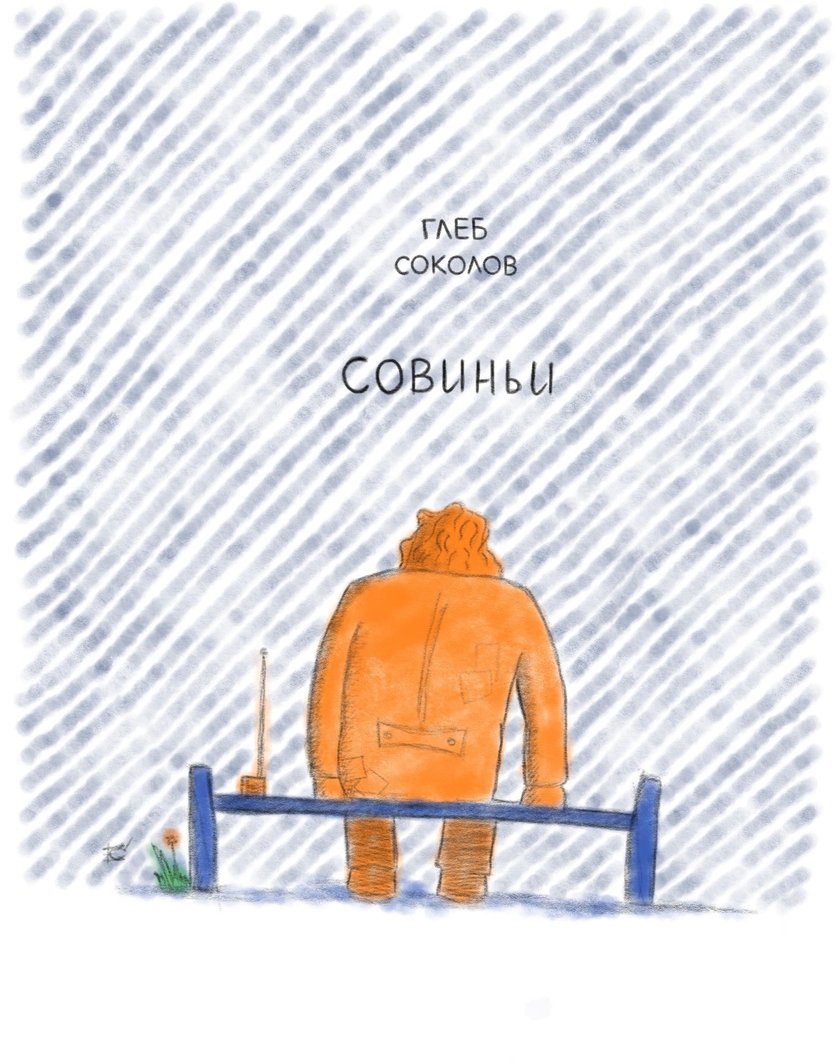 Обложка книги Совиньи