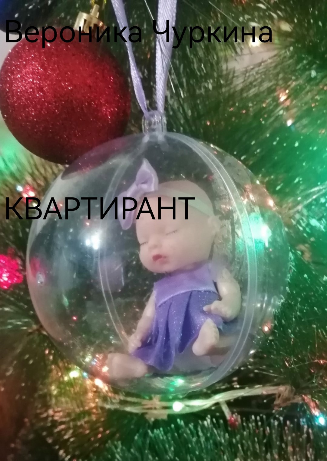 Обложка книги Квартирант.