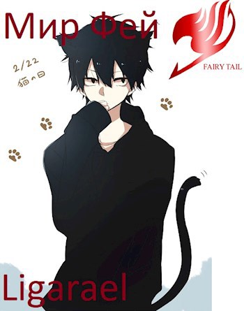 Обложка книги Мир Фей