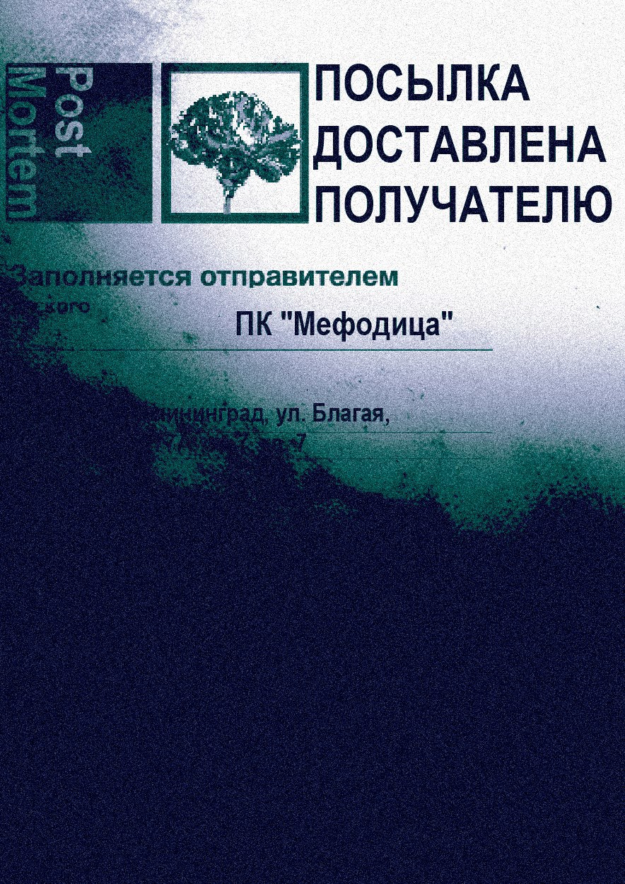 Обложка книги Посылка доставлена получателю