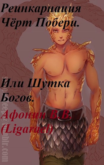 Обложка книги Реинкарнация Чёрт Побери! Или шутка богов.