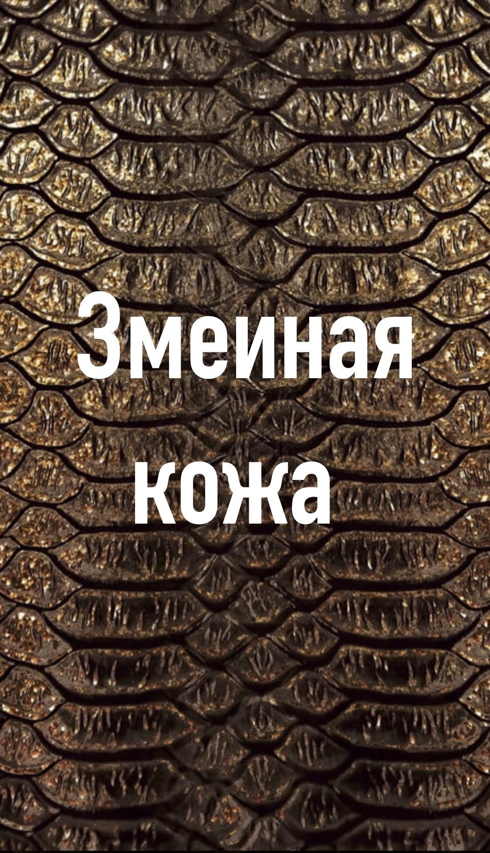 Обложка книги Змеиная кожа