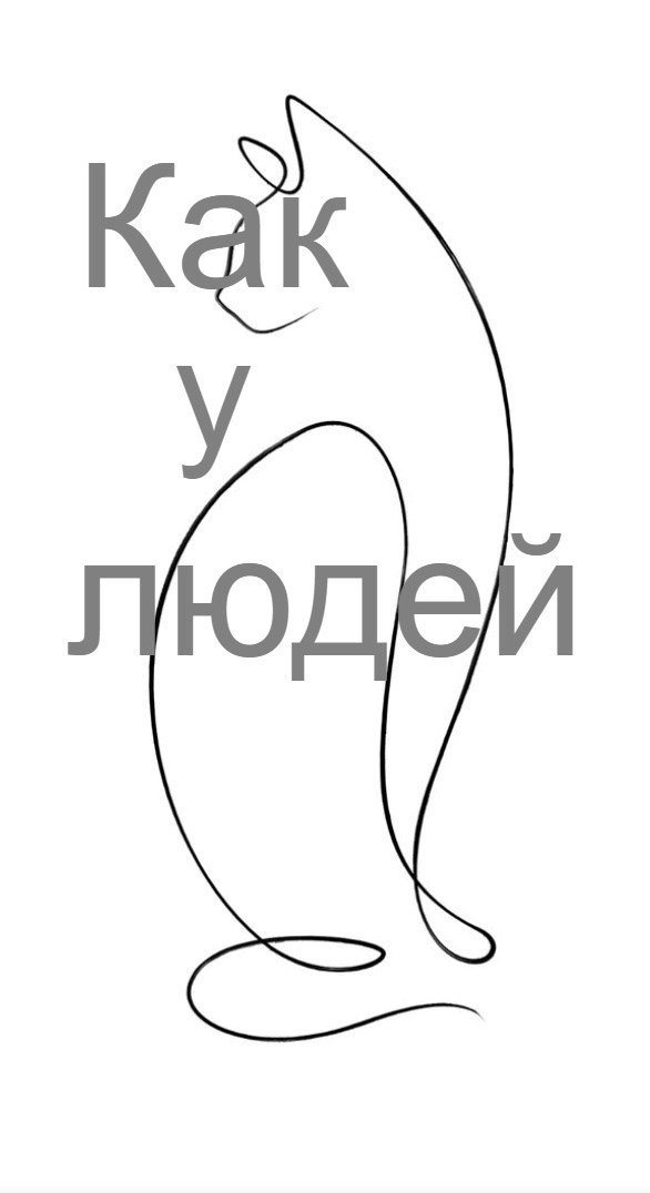 Обложка книги Как у людей