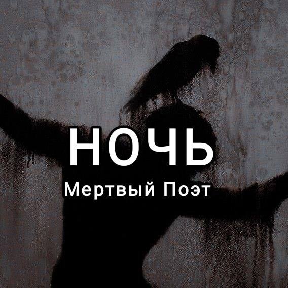Обложка книги Ночь