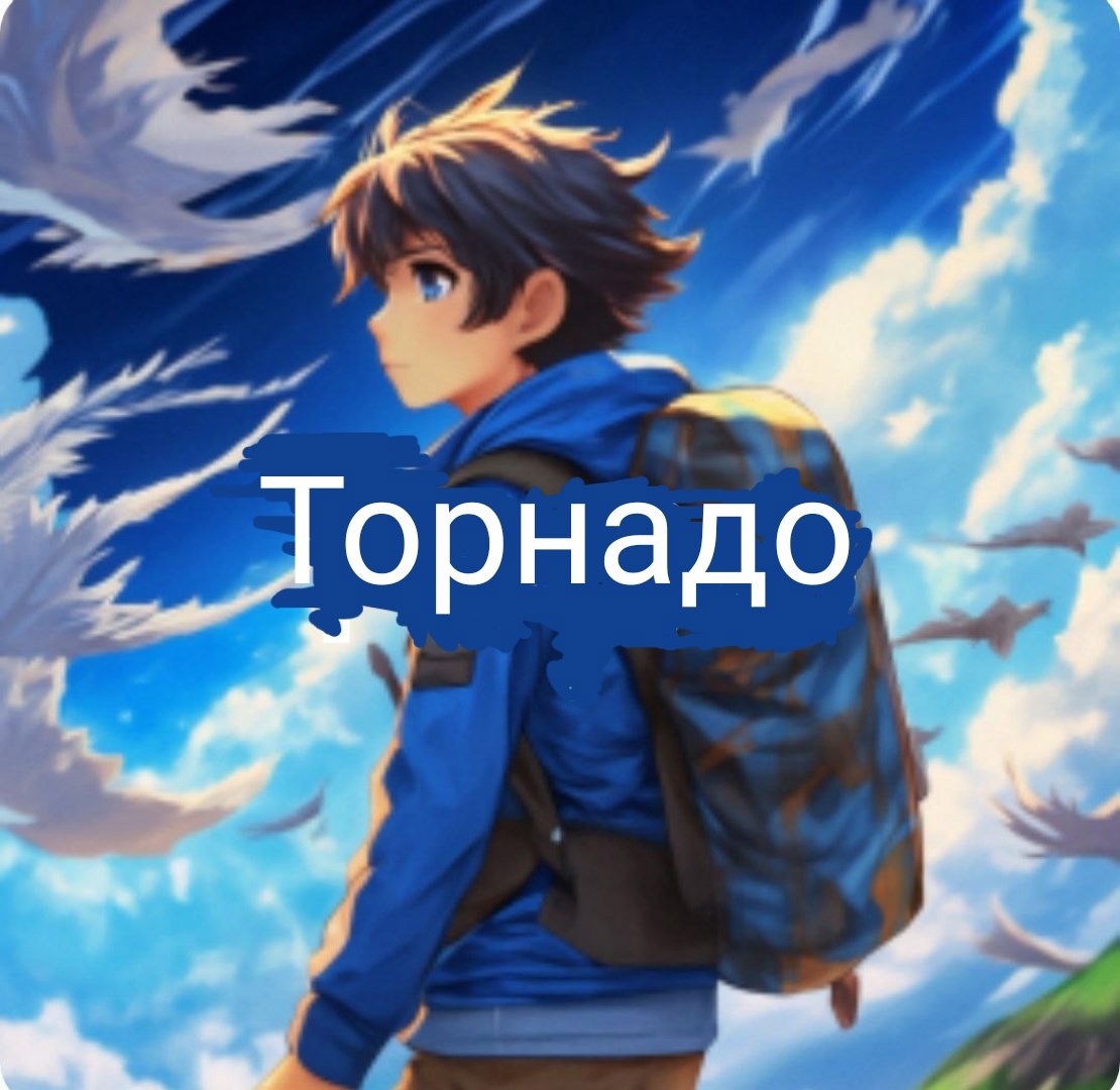Обложка книги Торнадо