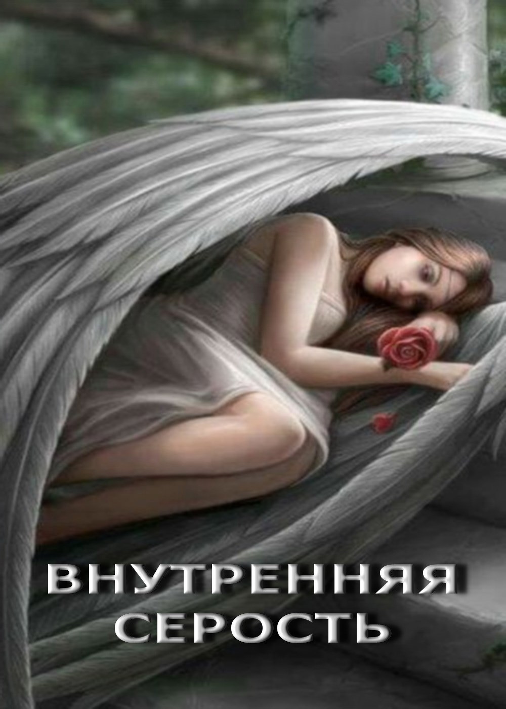 Обложка книги Внутренняя серость