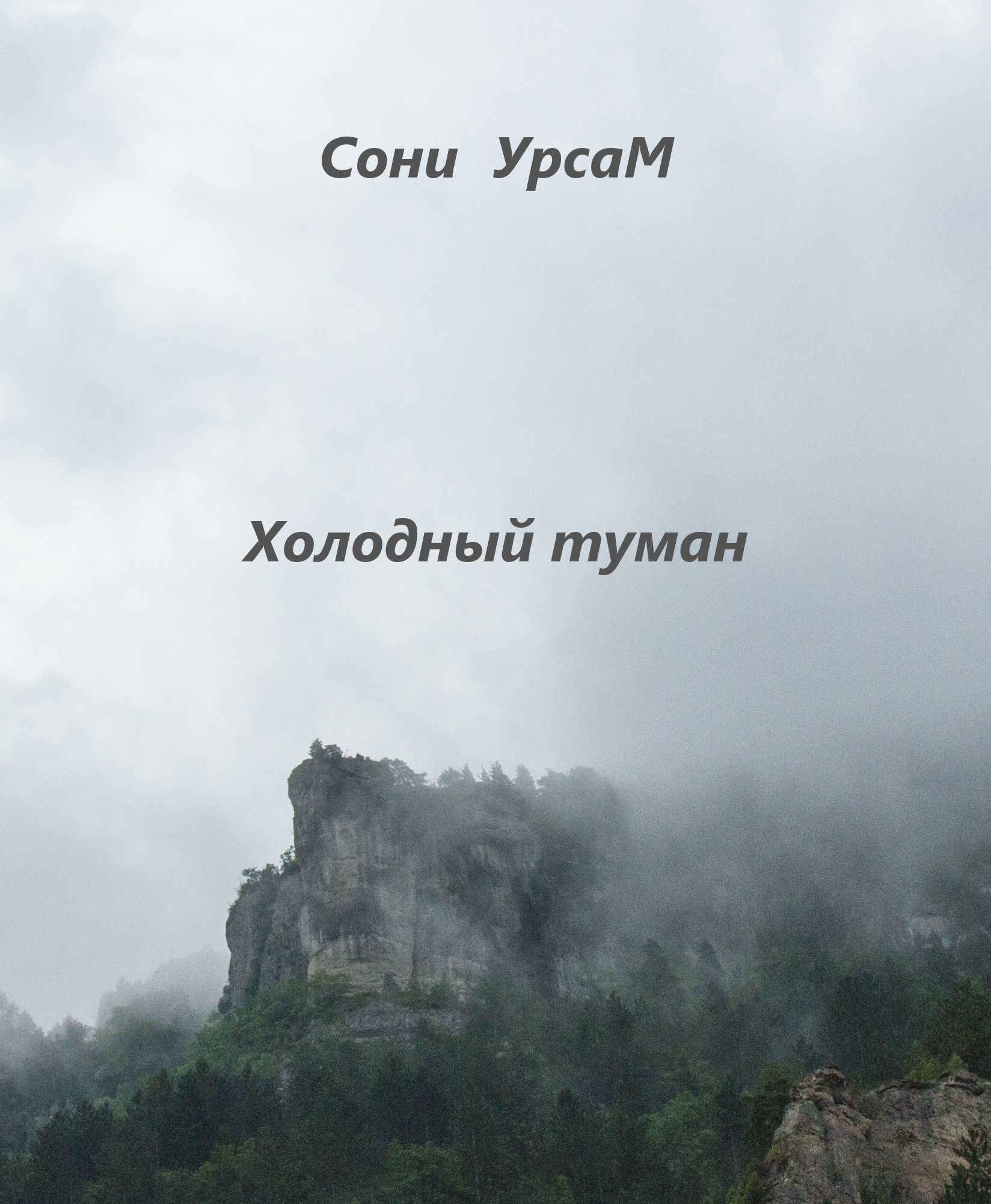 Обложка книги Холодный Туман