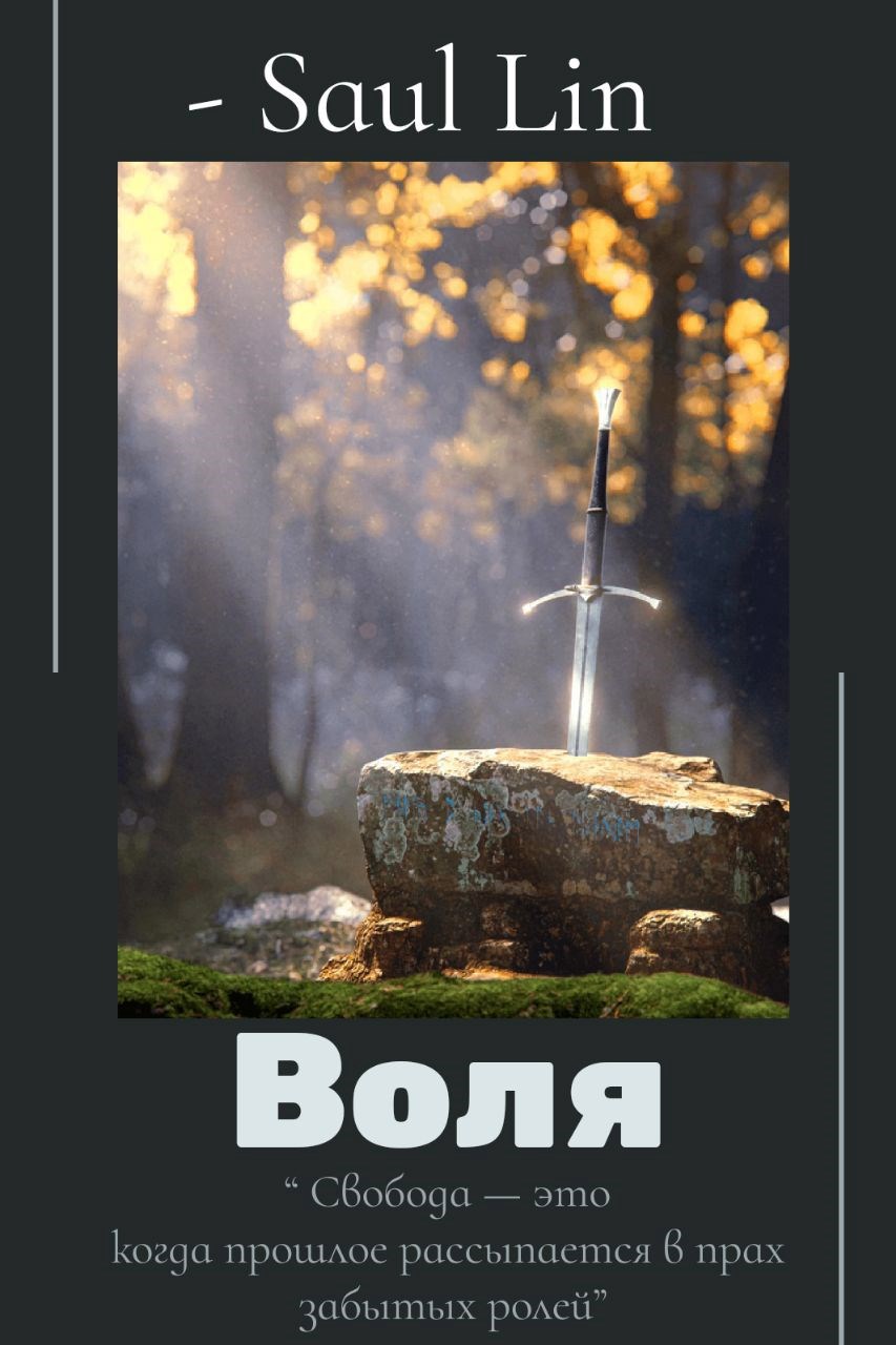 Обложка книги Воля