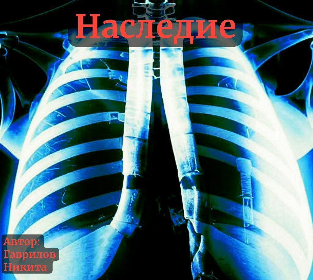 Обложка книги Наследие