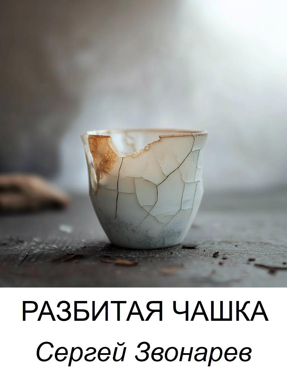 Обложка книги Разбитая чашка