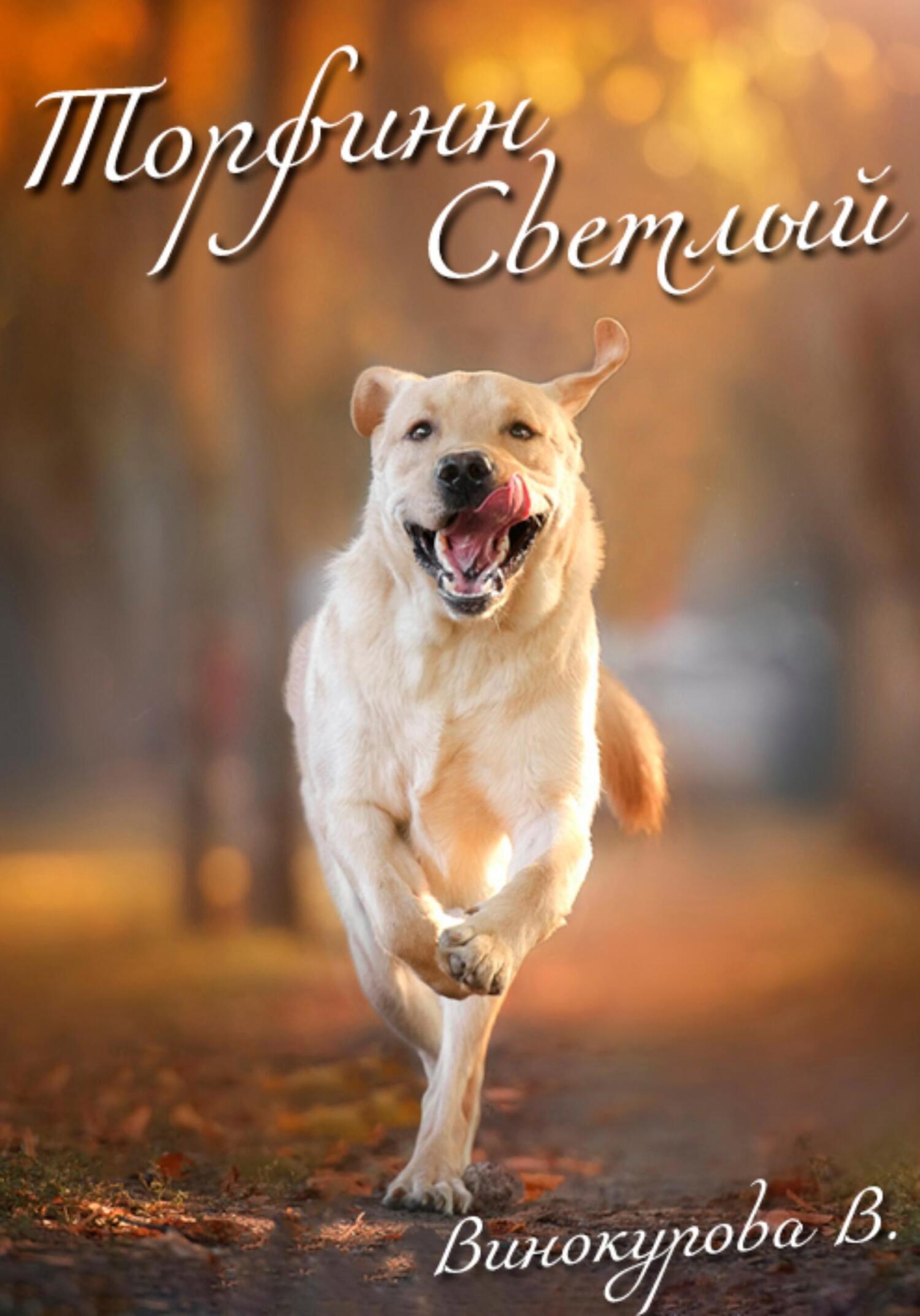 Обложка книги Торфинн Светлый