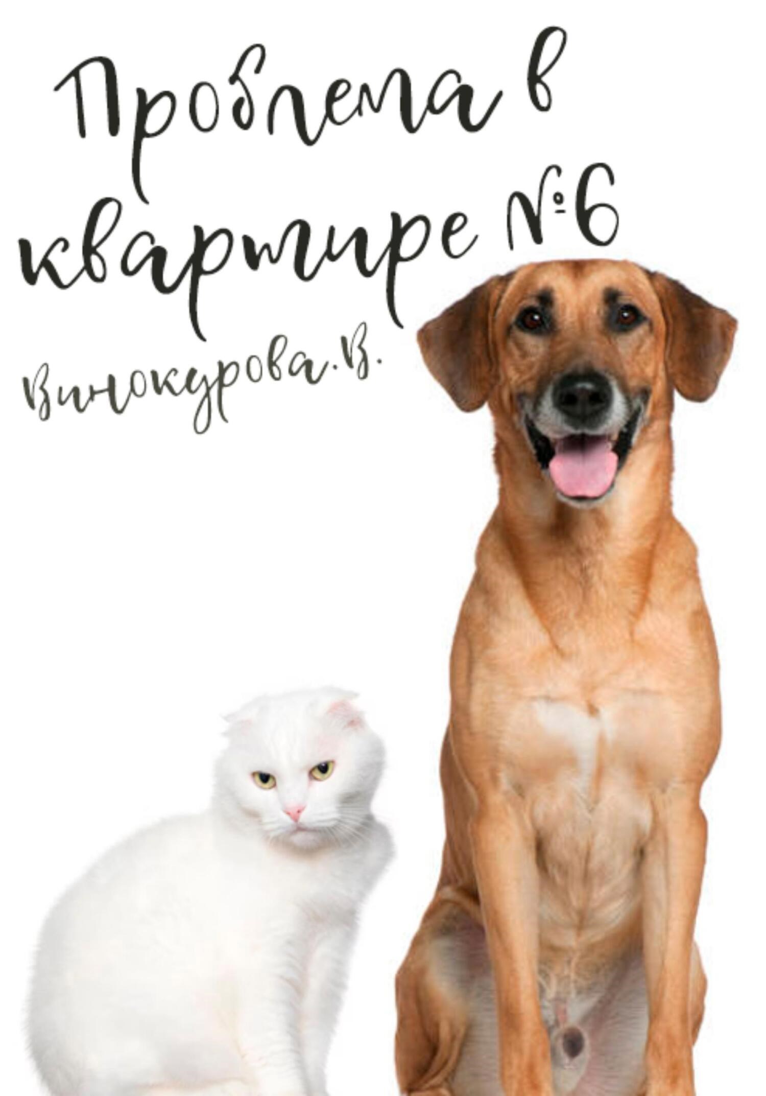 Обложка книги Проблема в квартире №6