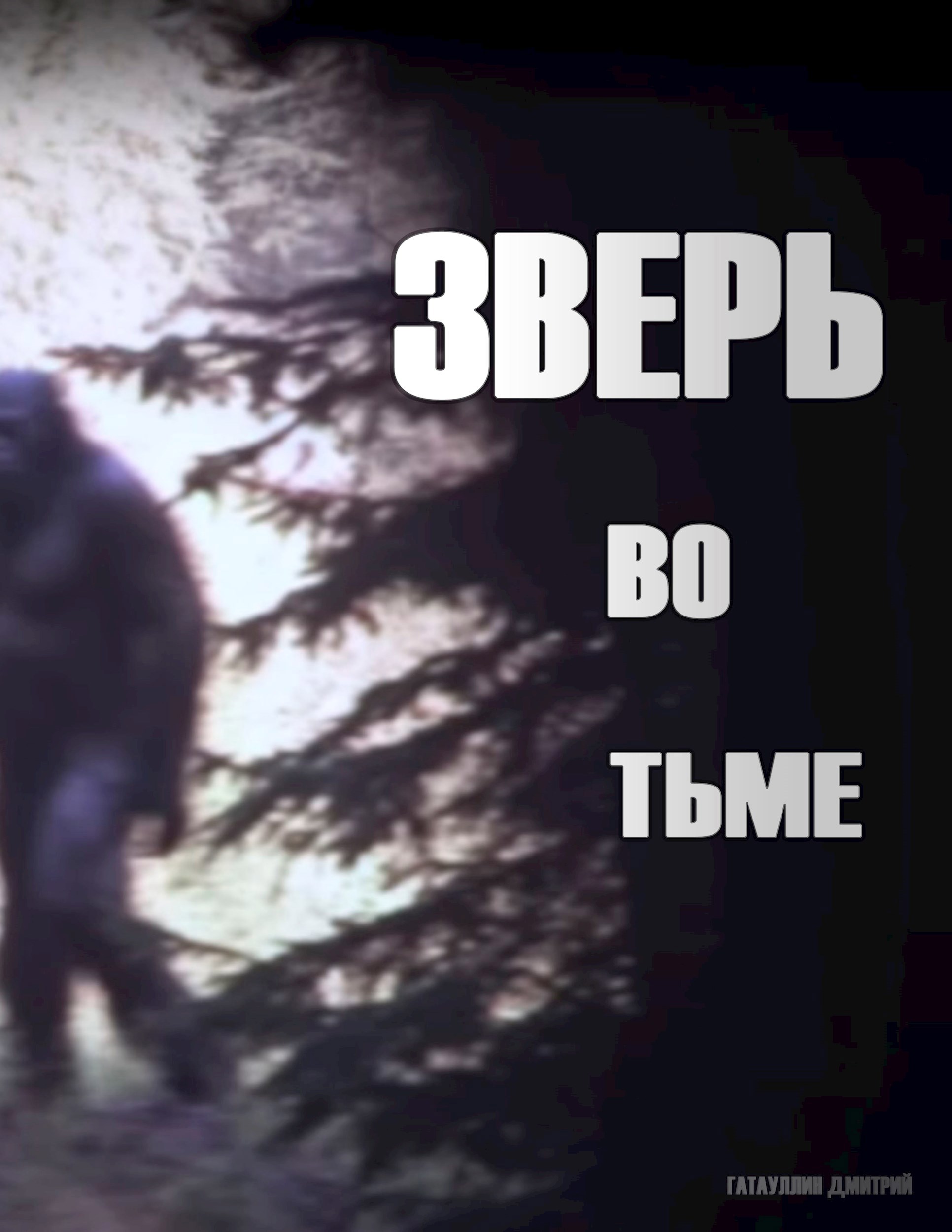 Обложка книги Зверь во тьме