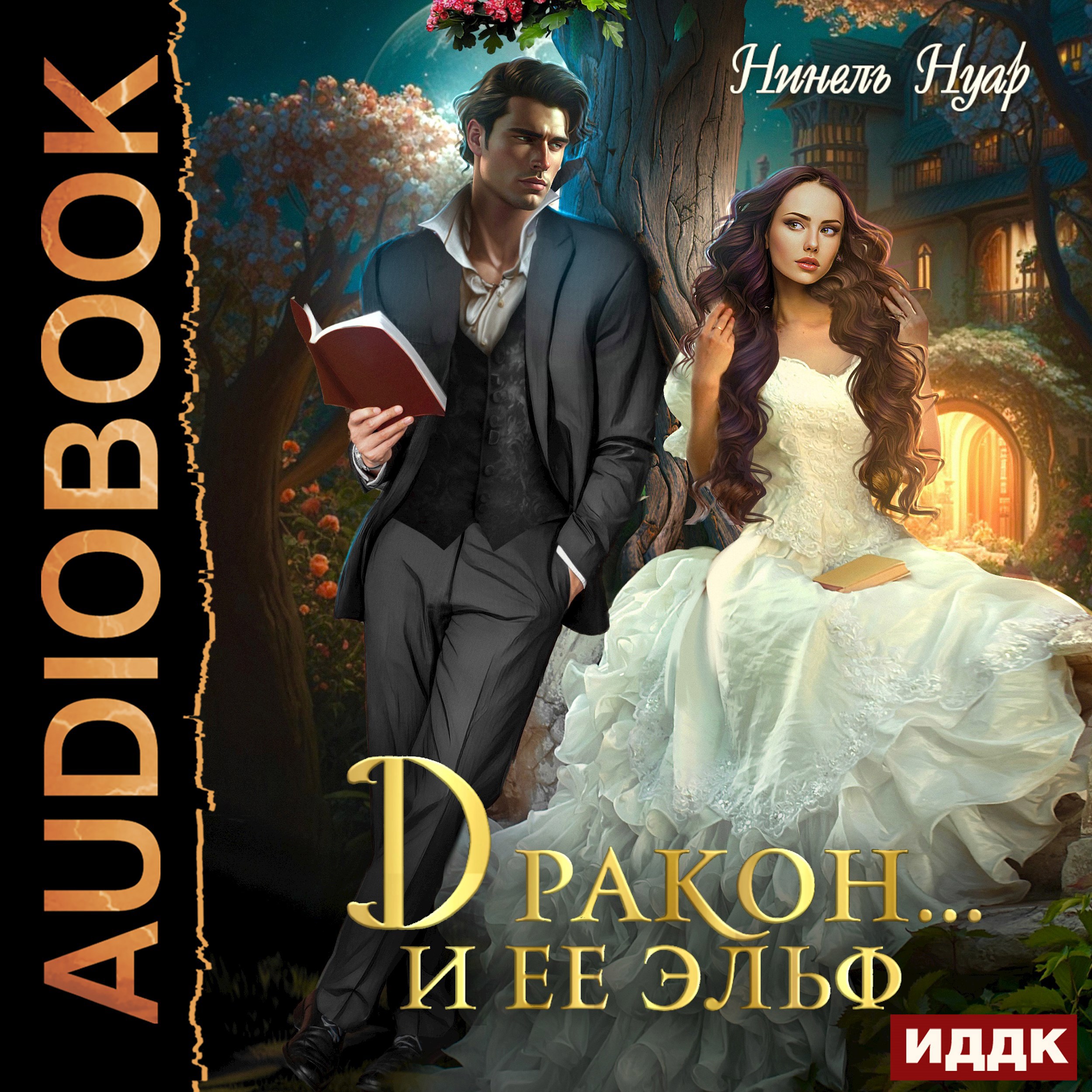 Обложка книги Дракон… и ее эльф