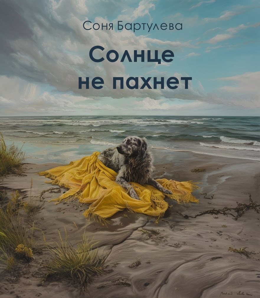 Обложка книги Солнце не пахнет
