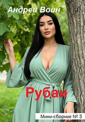 Обложка книги Рубаи