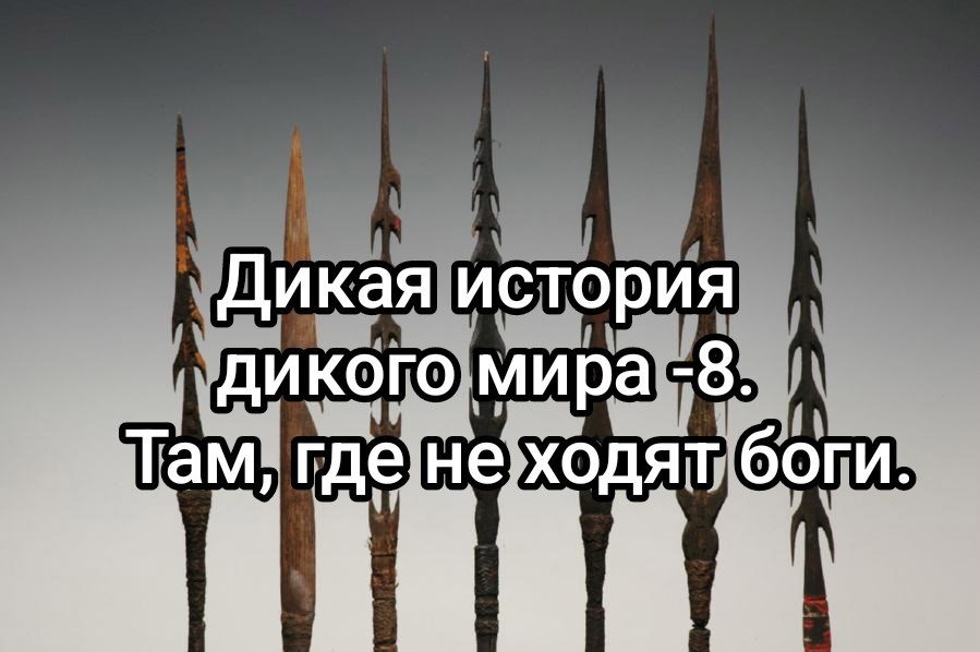 Обложка книги Дикая история дикого мира-8. Там, где не ходят боги.