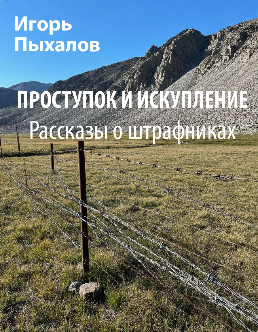 Обложка книги Проступок и искупление. Рассказы о штрафниках
