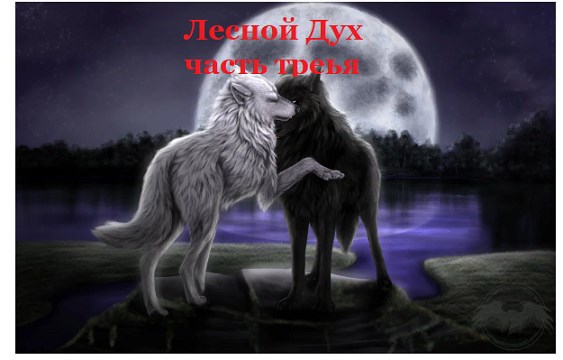 Обложка книги Лесной Дух книга 3 часть 3