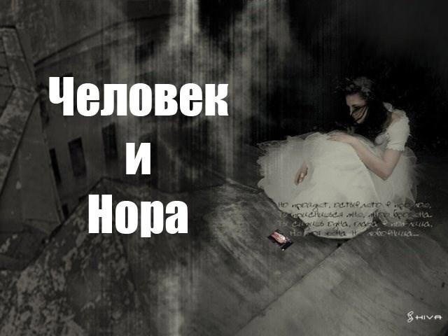 Обложка книги Человек и Нора