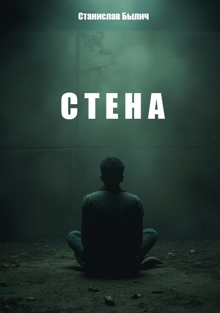 Обложка книги Стена