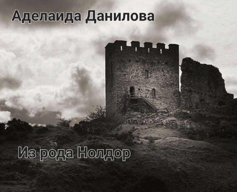 Обложка книги Из рода Нолдор.