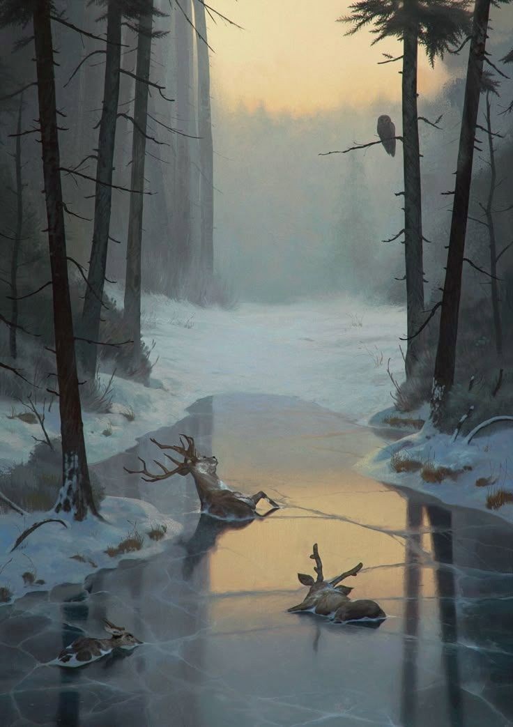 Обложка книги Шаман и Шарлатан