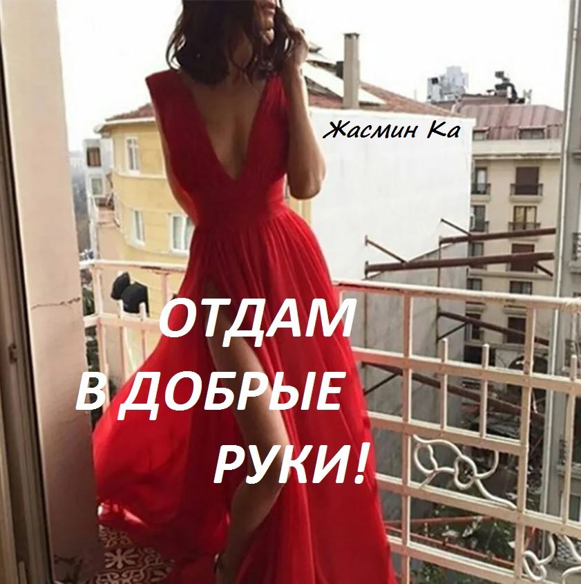 Обложка книги Отдам в добрые руки!