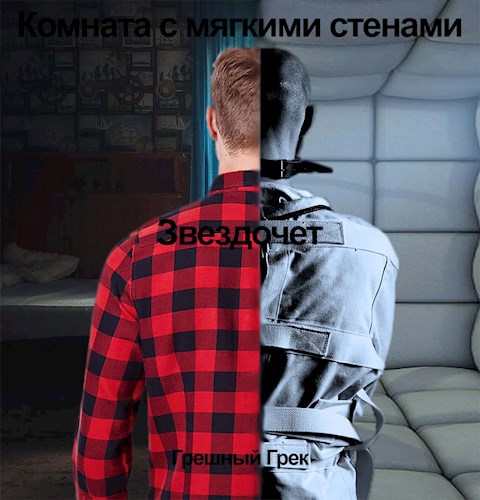 Обложка книги Звездочет