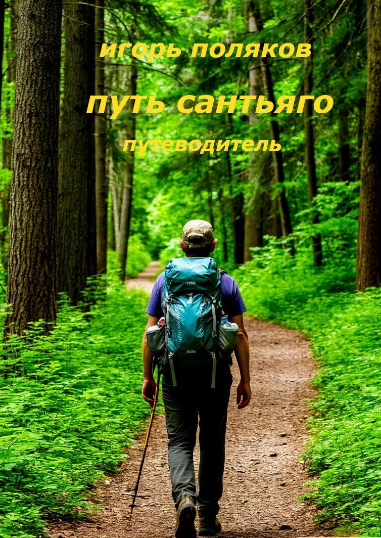 Обложка книги Путь Сантьяго. Путеводитель пилигрима