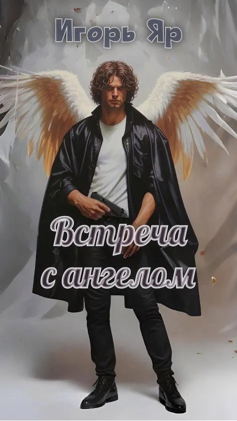 Обложка книги Встреча с ангелом