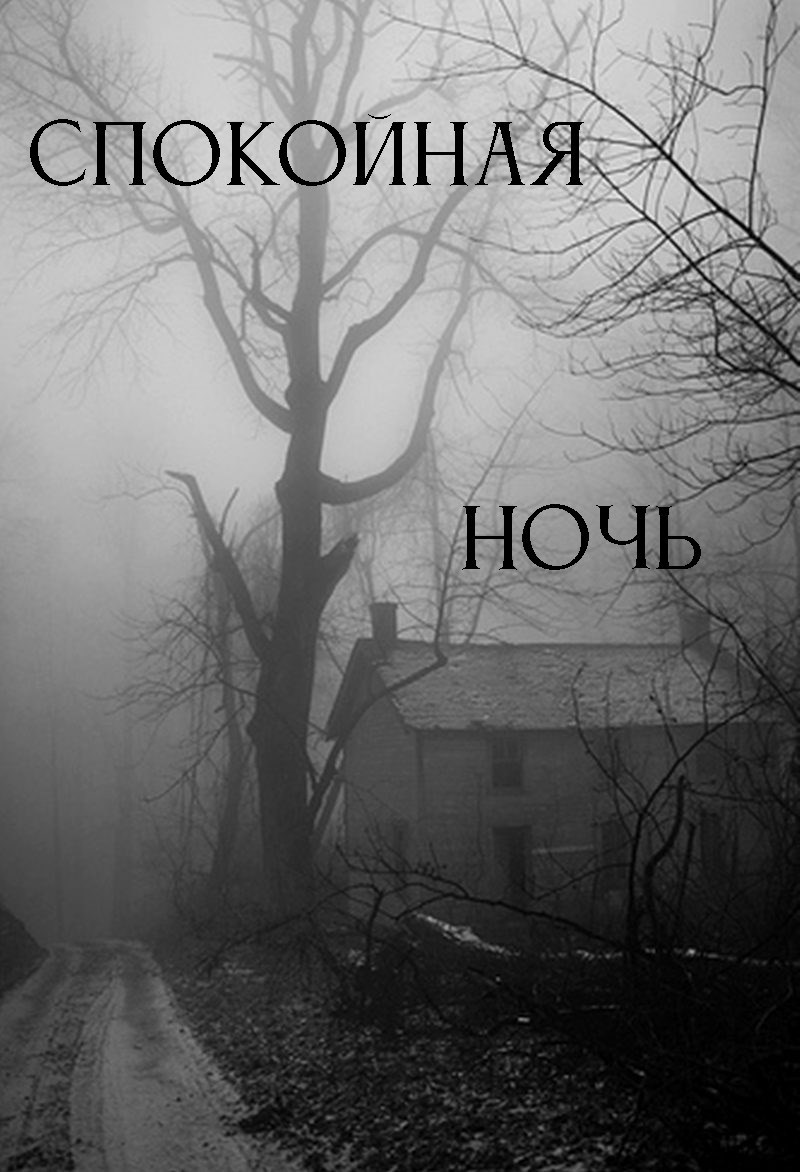 Обложка книги Спокойная ночь