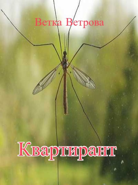 Обложка книги Квартирант
