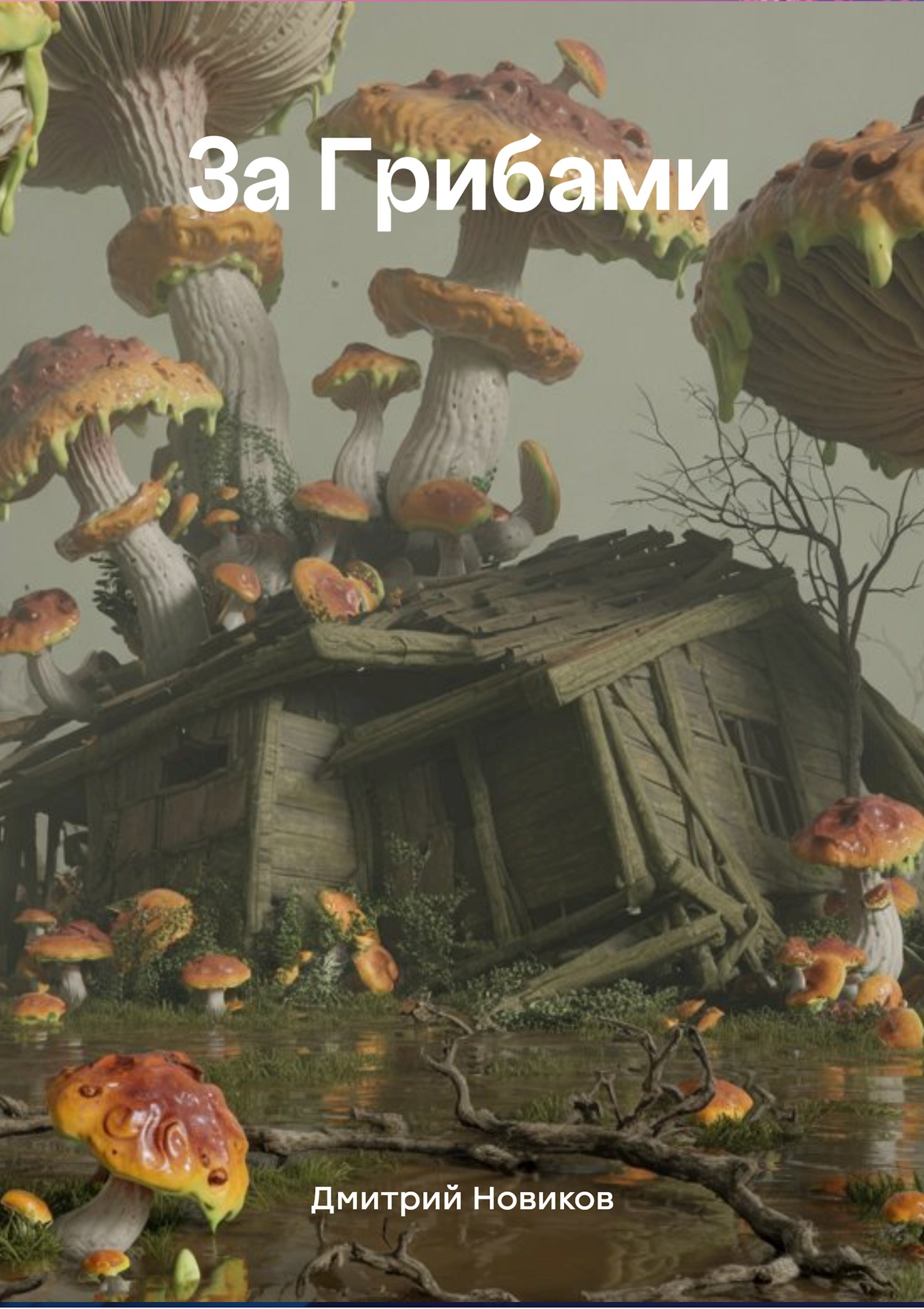 Обложка книги За грибами