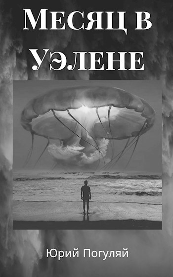 Обложка книги Месяц в Уэлене