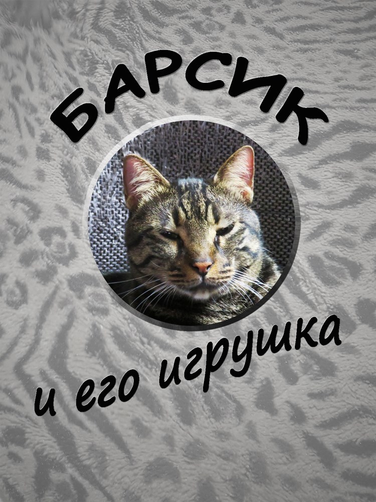 Обложка книги Барсик и его игрушка