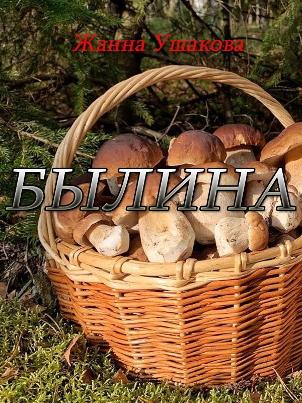 Обложка книги Былина