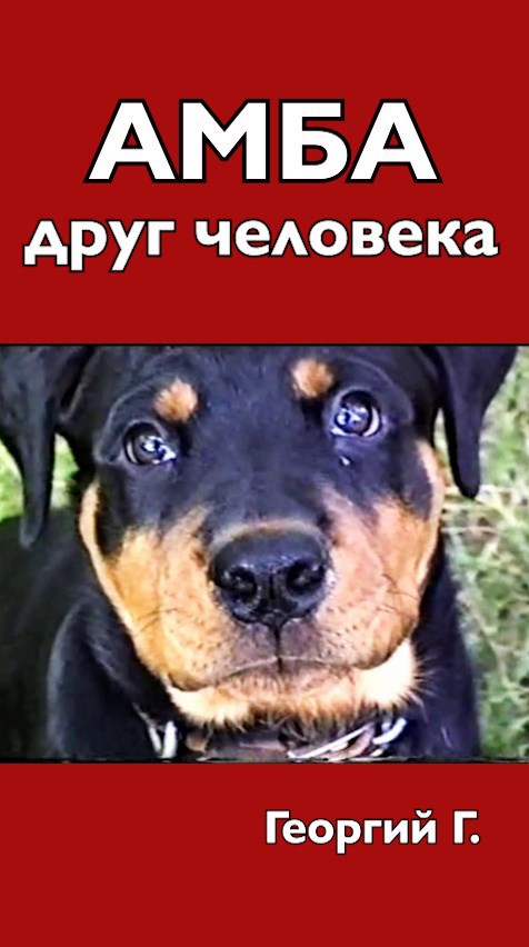 Обложка книги Амба, друг человека.
