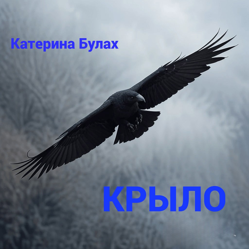 Обложка книги Крыло