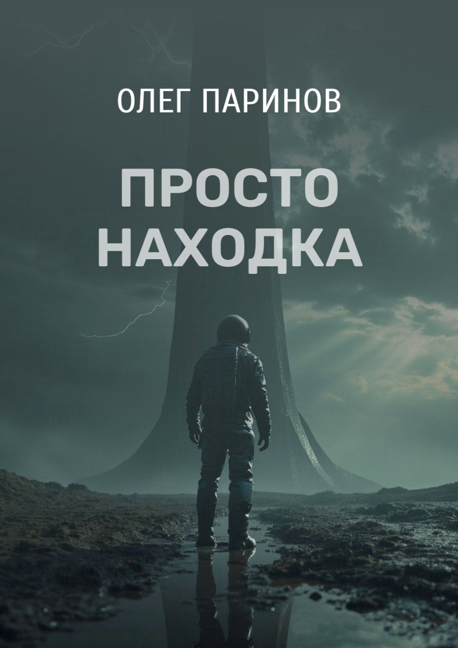 Обложка книги Просто находка