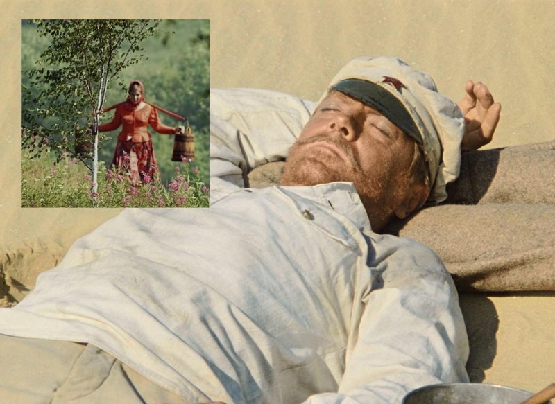 Обложка книги Письмо Матушке