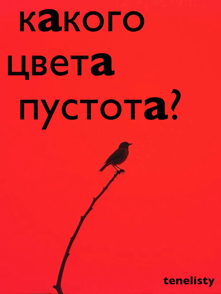Обложка книги Какого цвета пустота?