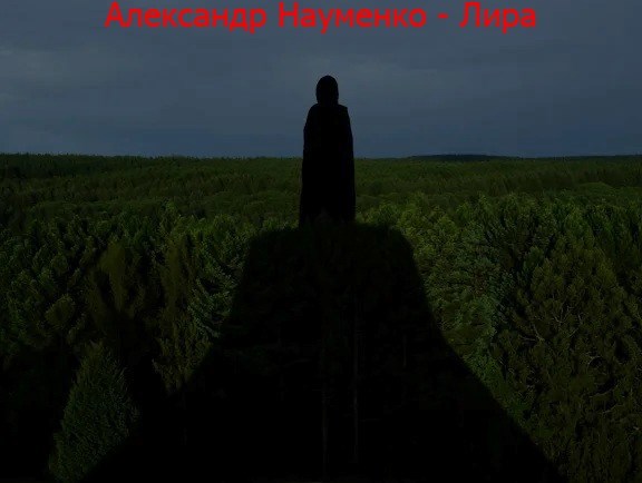 Обложка книги Лира.