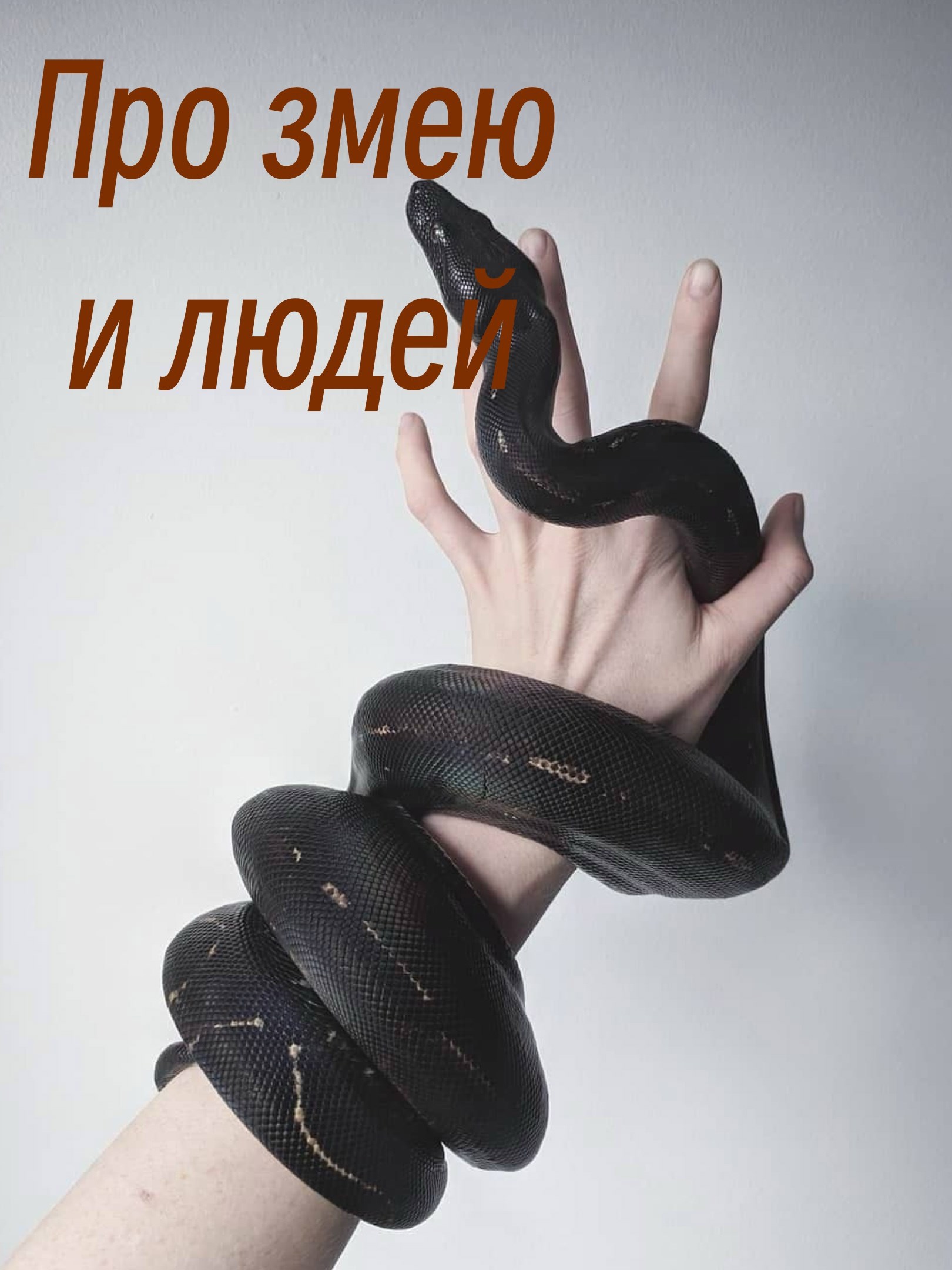 Обложка книги Про змею и людей