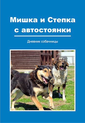 Обложка книги Мишка и Степка с автостоянки