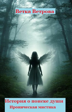 Обложка книги История о поиске души. Ироническая мистика