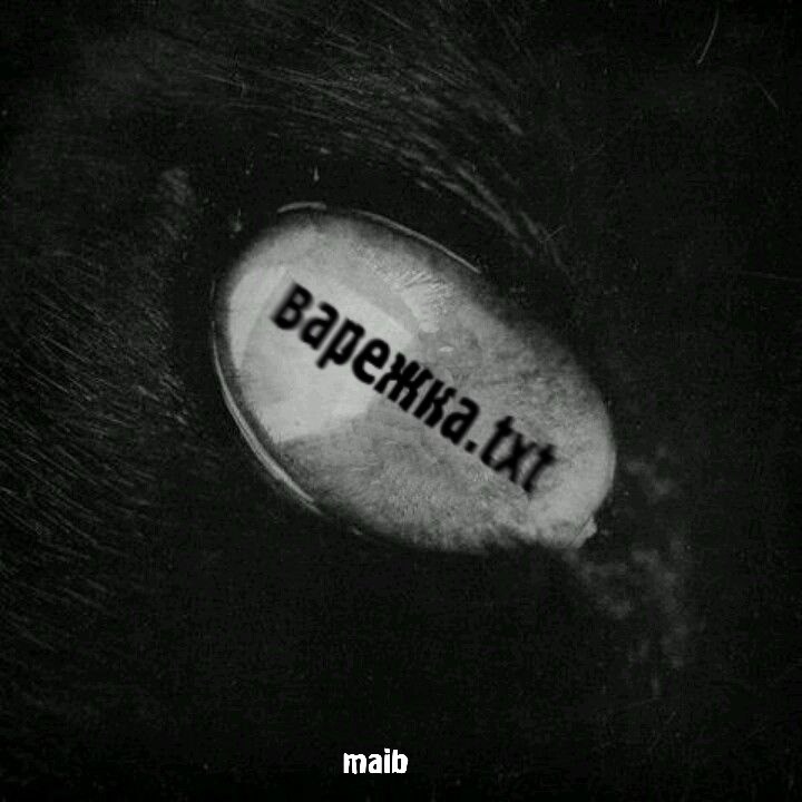 Обложка книги варежка
