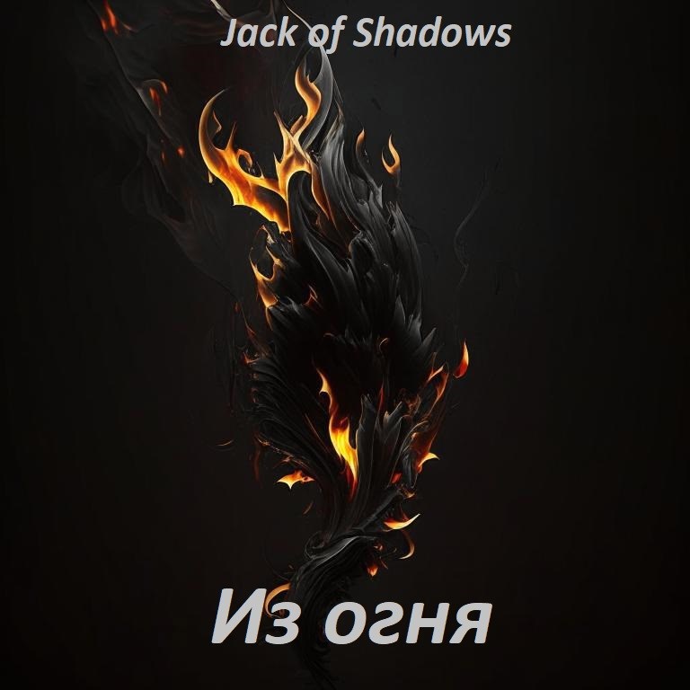 Обложка книги Из огня