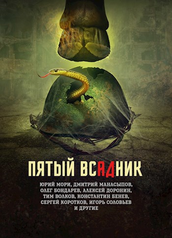 Обложка книги Я приду к тебе с дождём...